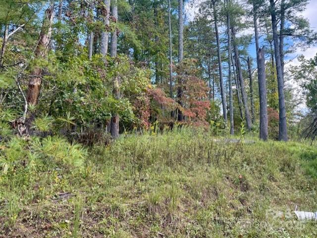 15 Ball Hollow Road Property Photo 6