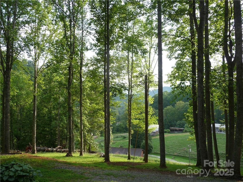 0 Joe Shoemaker Road Property Photo 1