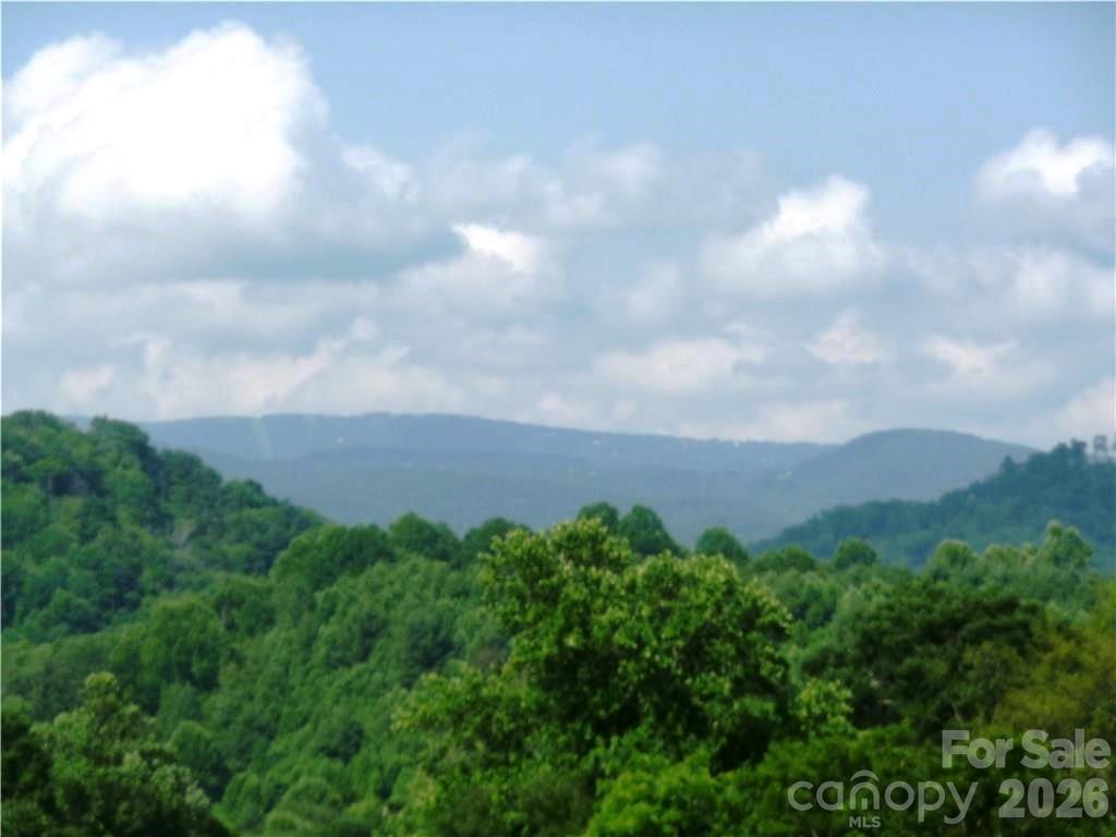 0 Joe Shoemaker Road Property Photo 19