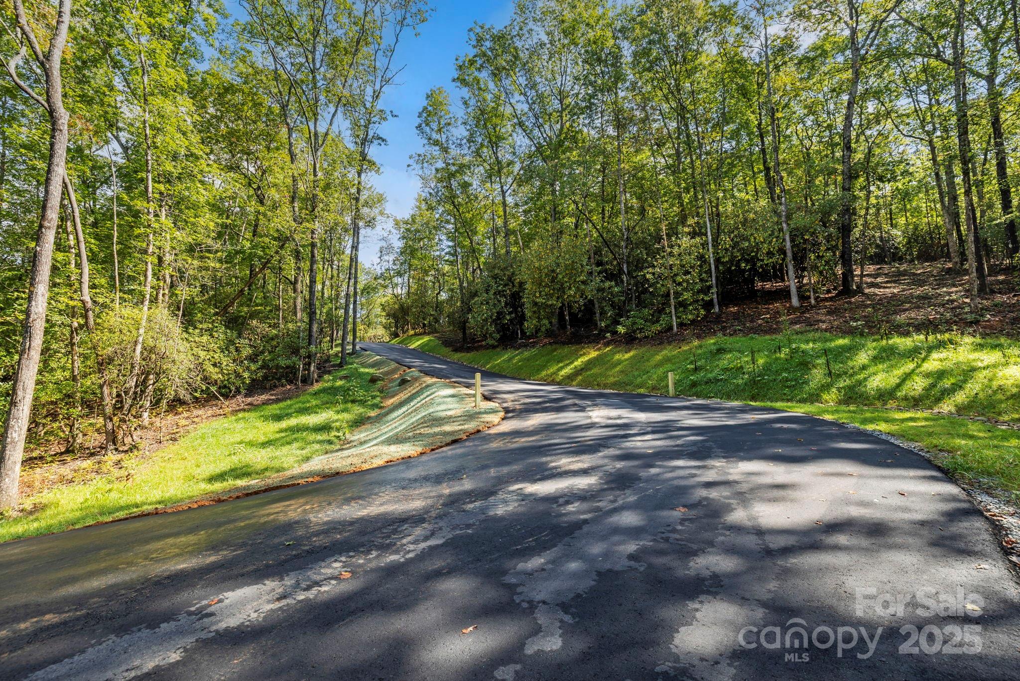 11763 Rosman Highway Property Photo 3