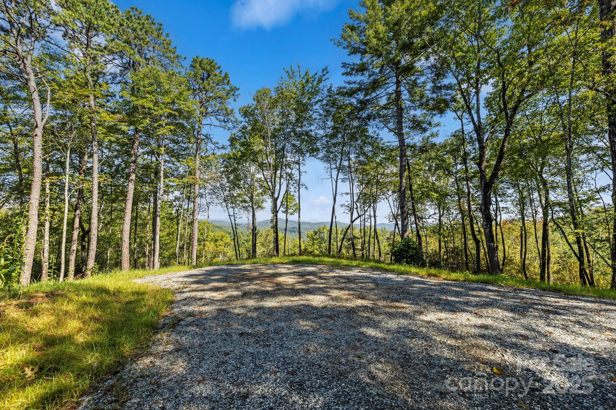 11763 Rosman Highway Property Photo 4