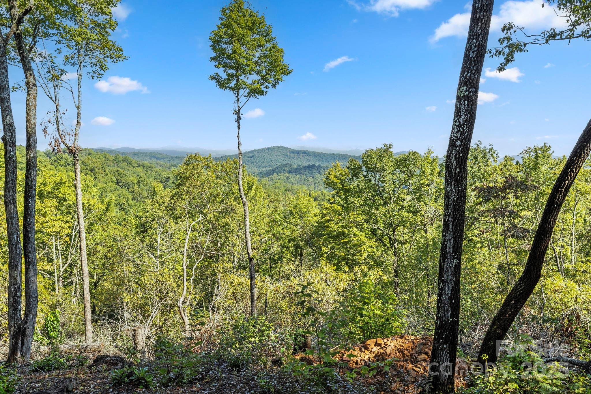 11763 Rosman Highway Property Photo 5