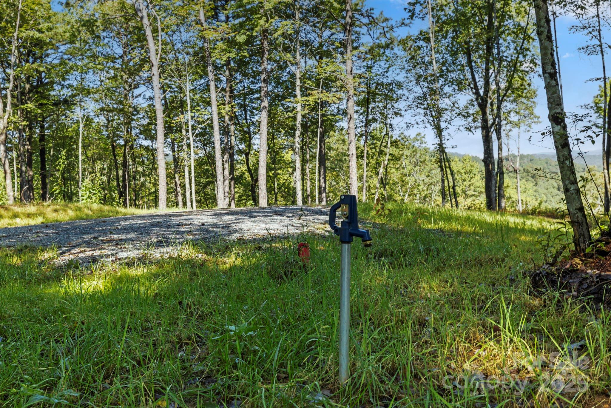 11763 Rosman Highway Property Photo 6