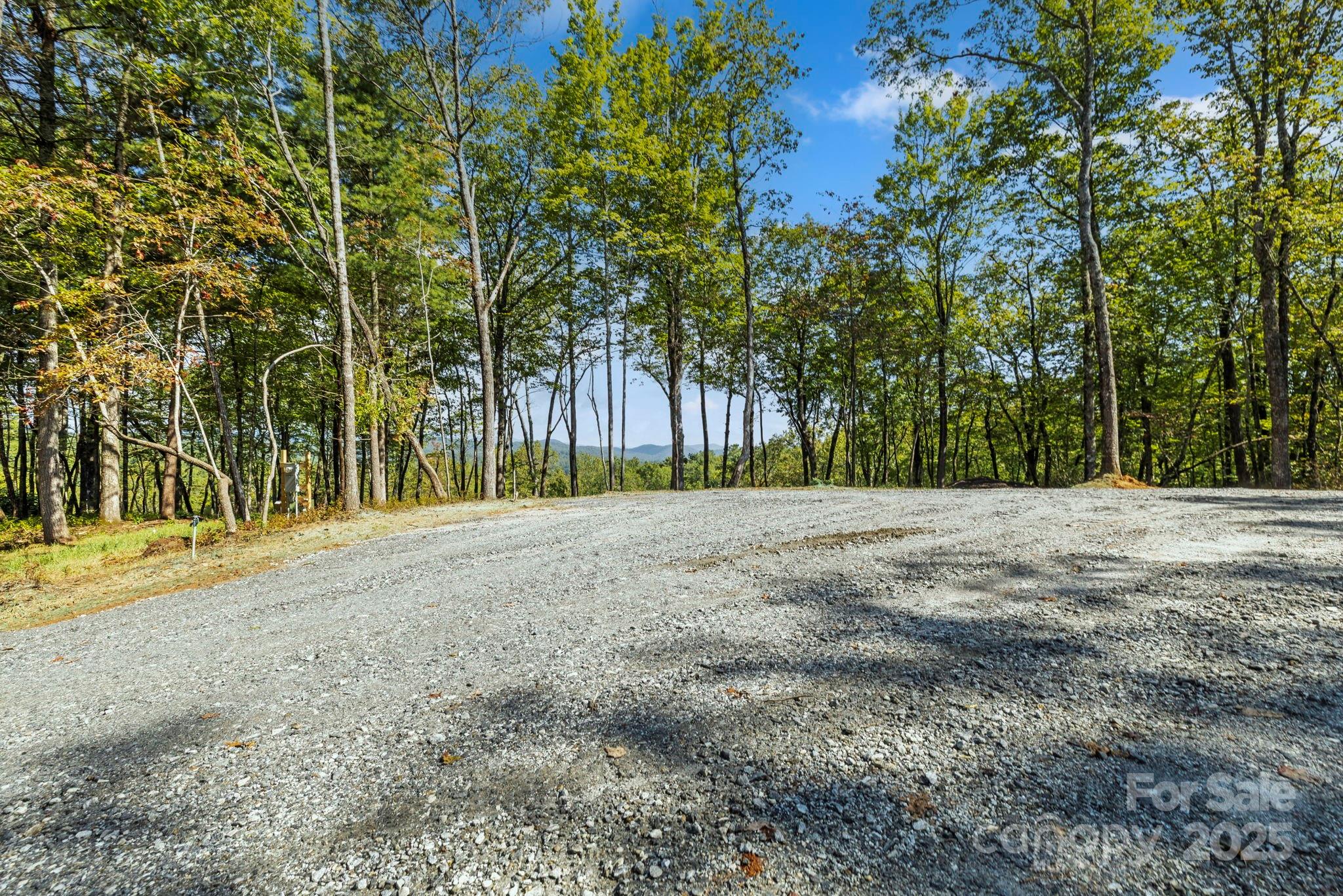 11763 Rosman Highway Property Photo 11