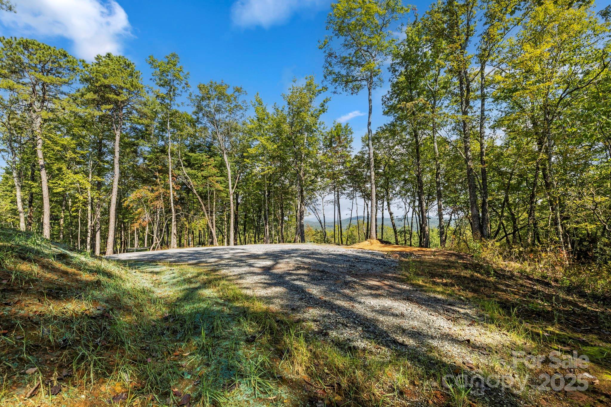 11763 Rosman Highway Property Photo 13