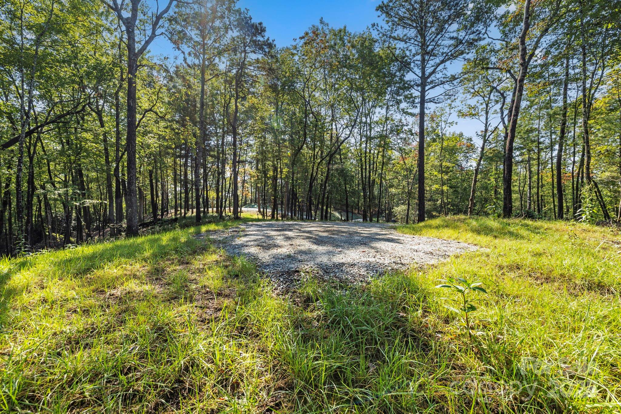 11763 Rosman Highway Property Photo 15