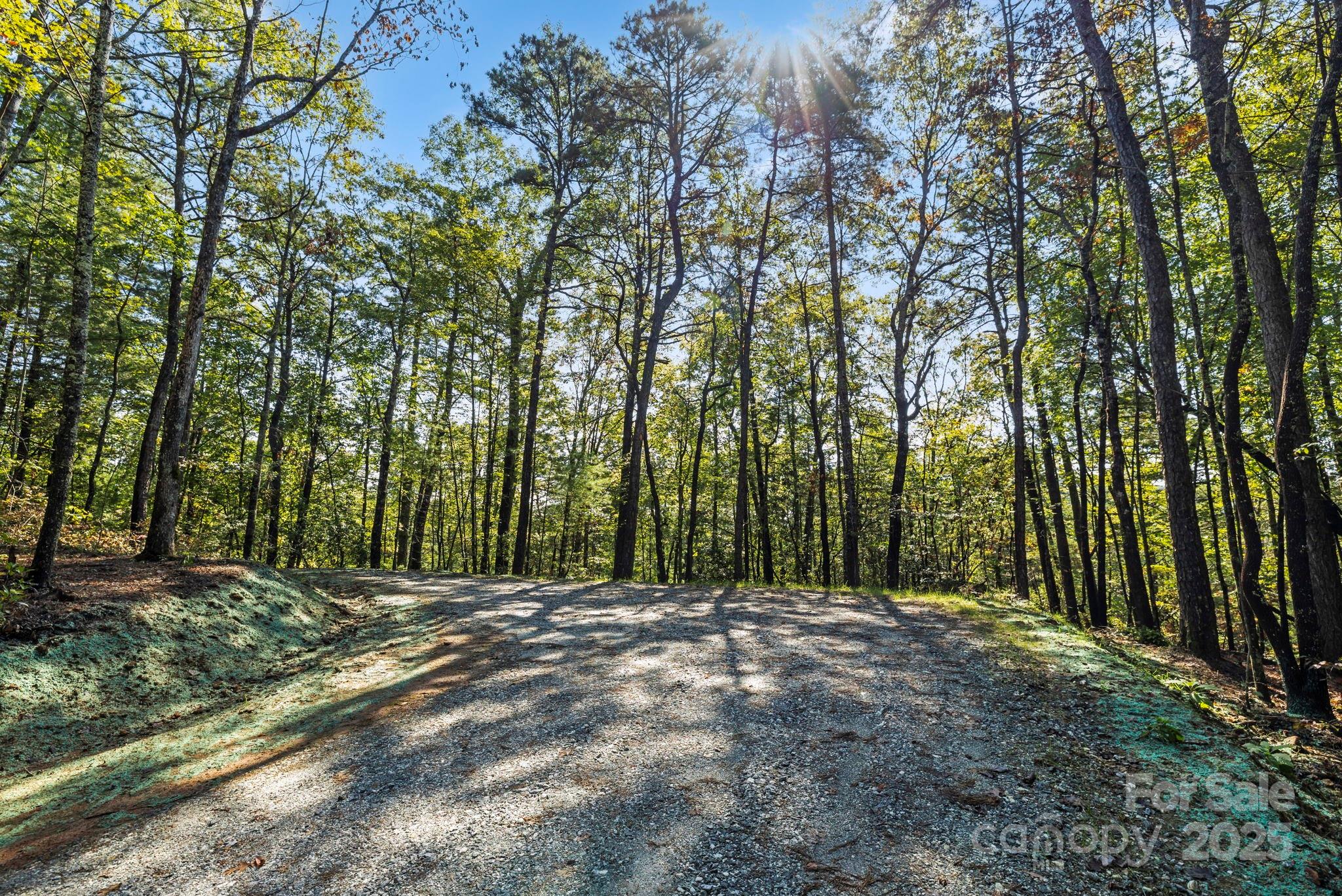 11763 Rosman Highway Property Photo 16