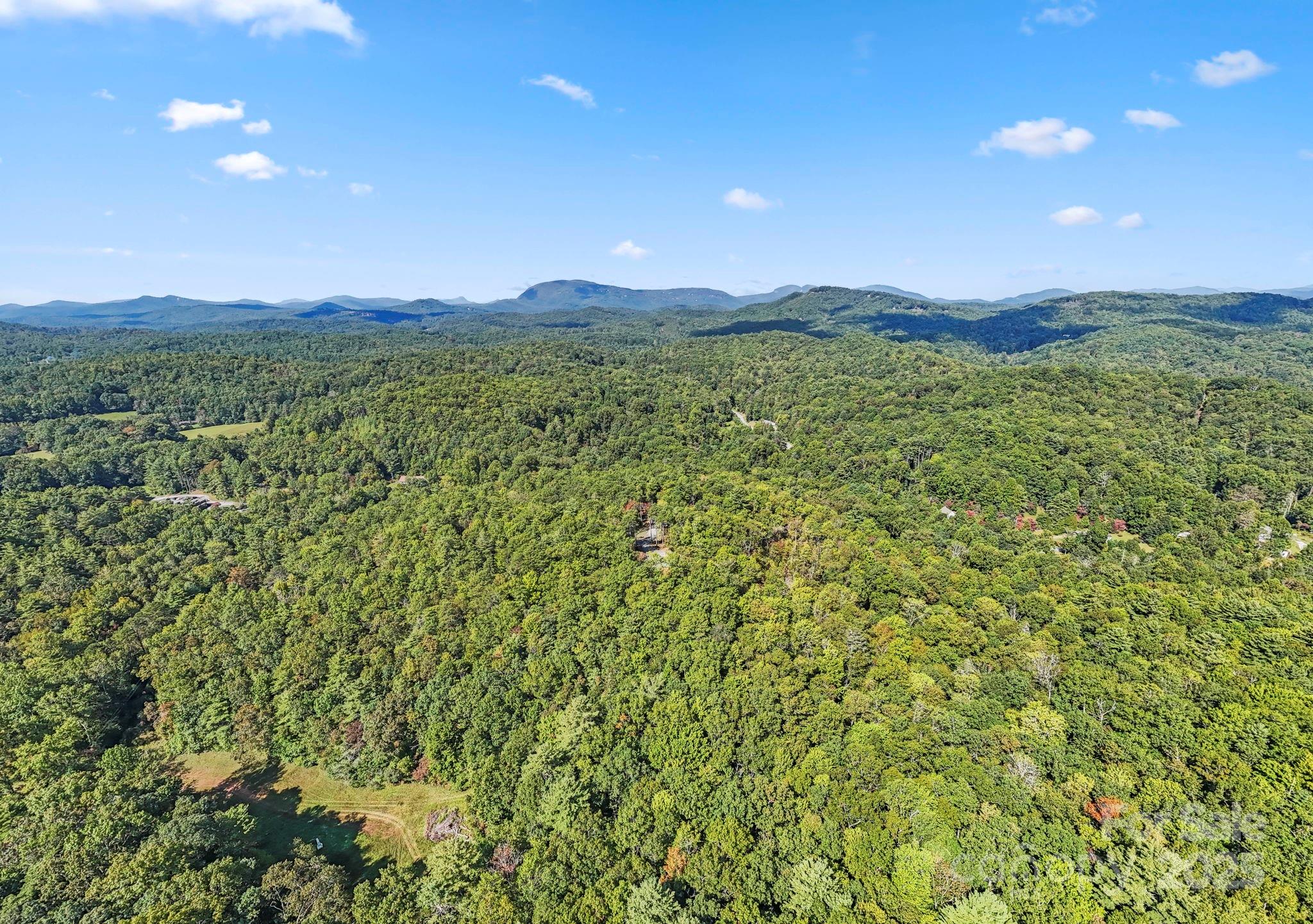 11763 Rosman Highway Property Photo 20
