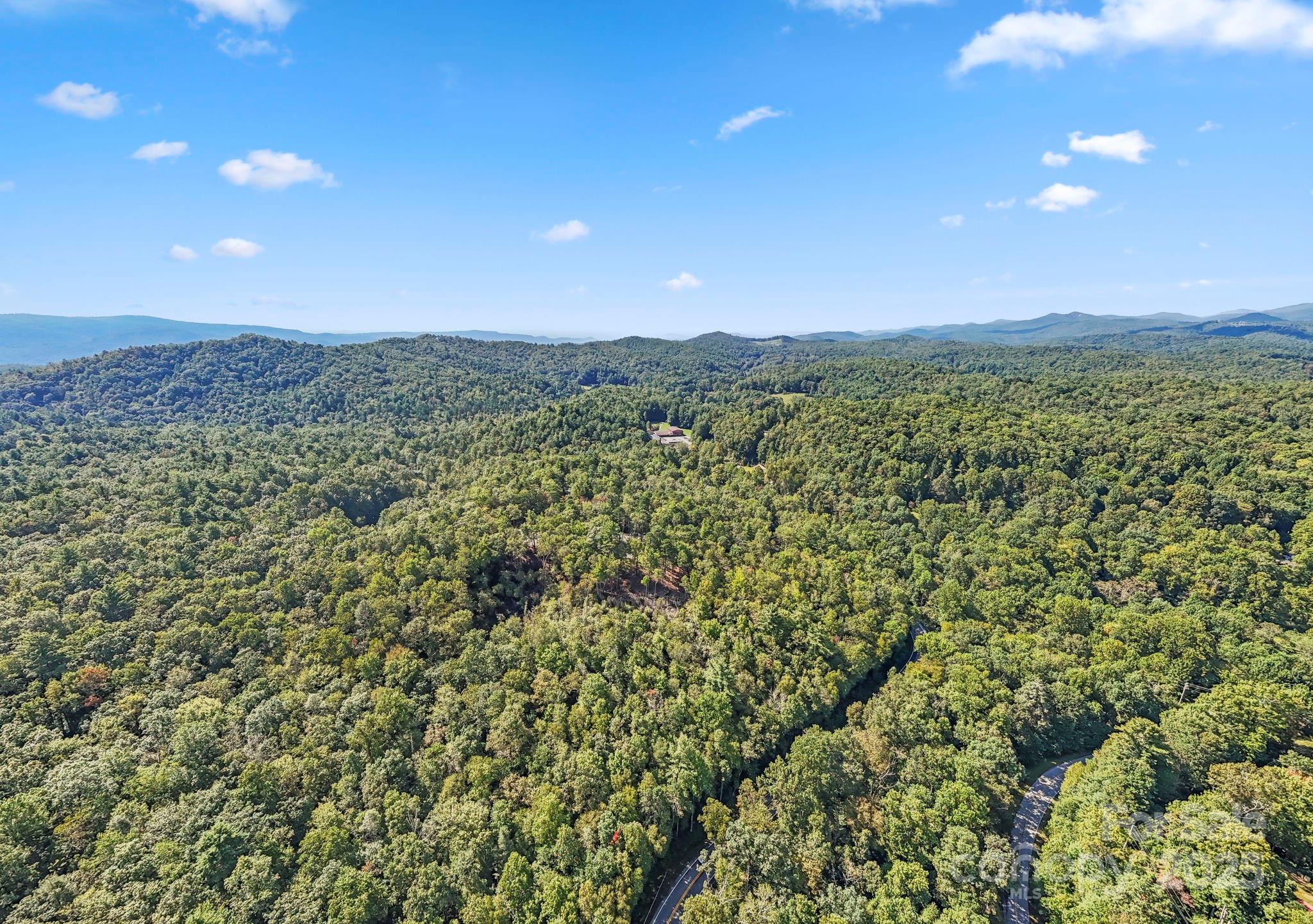 11763 Rosman Highway Property Photo 21