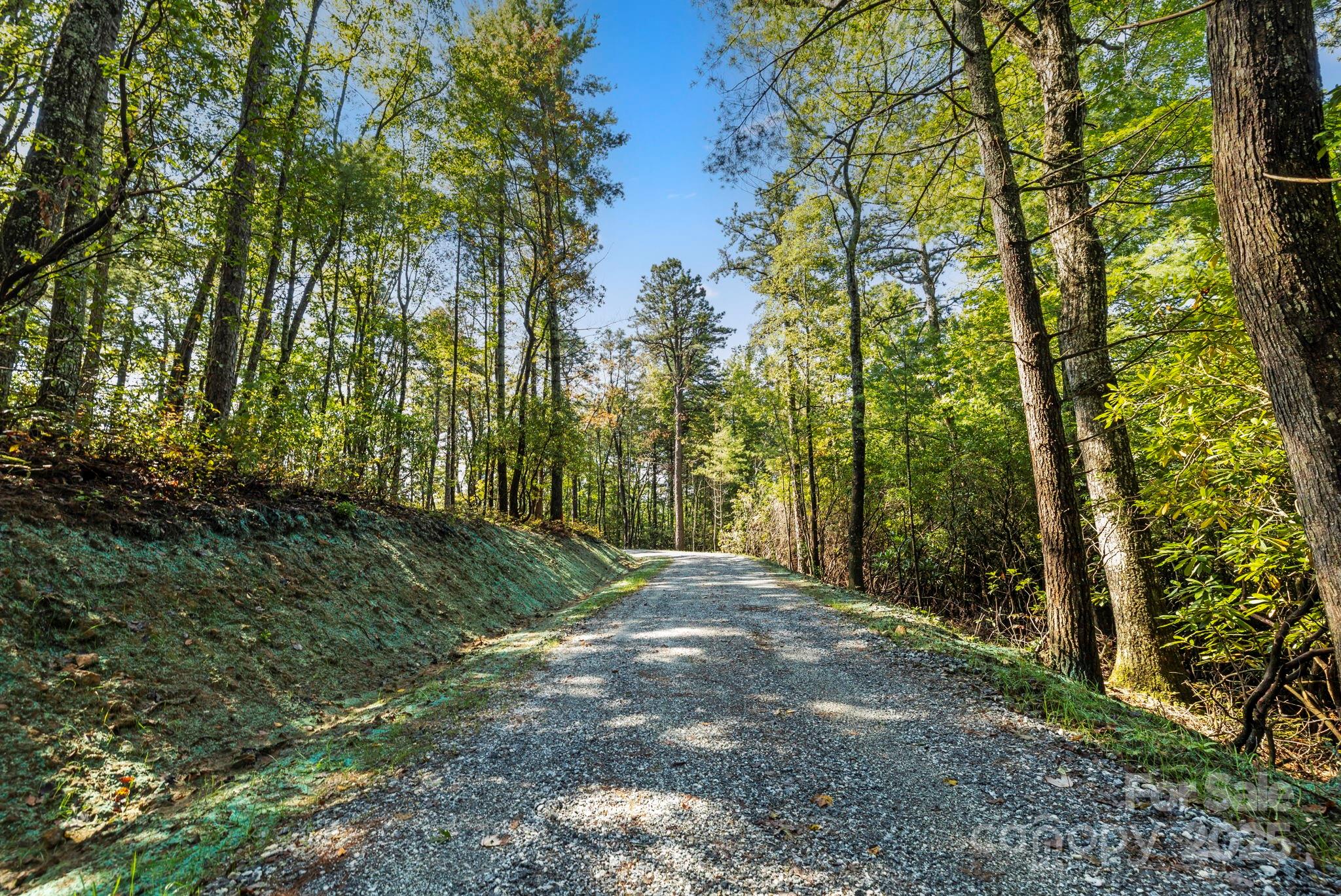11763 Rosman Highway Property Photo 25