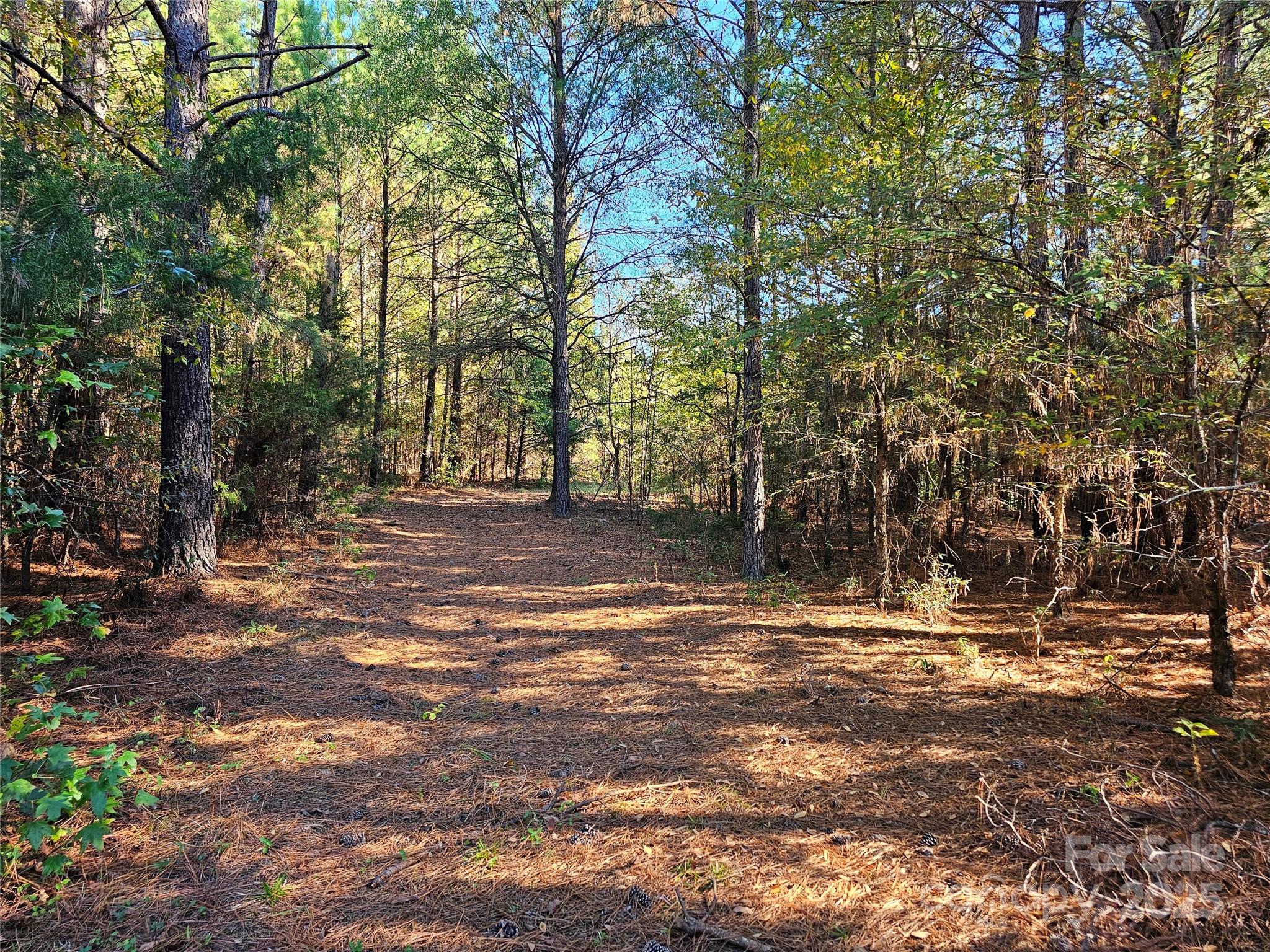 5311 Lancaster Highway Property Photo 1