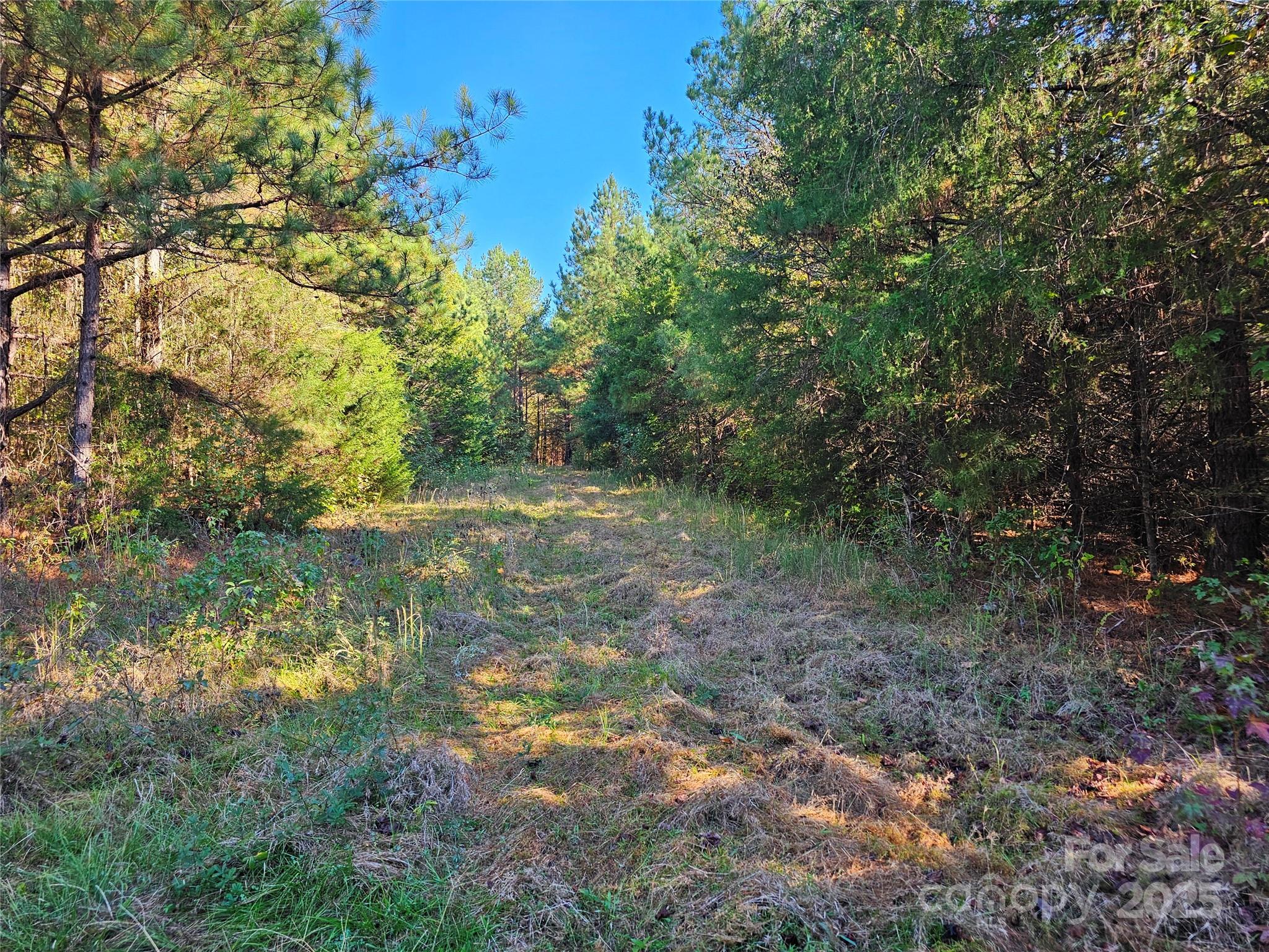 5311 Lancaster Highway Property Photo 2