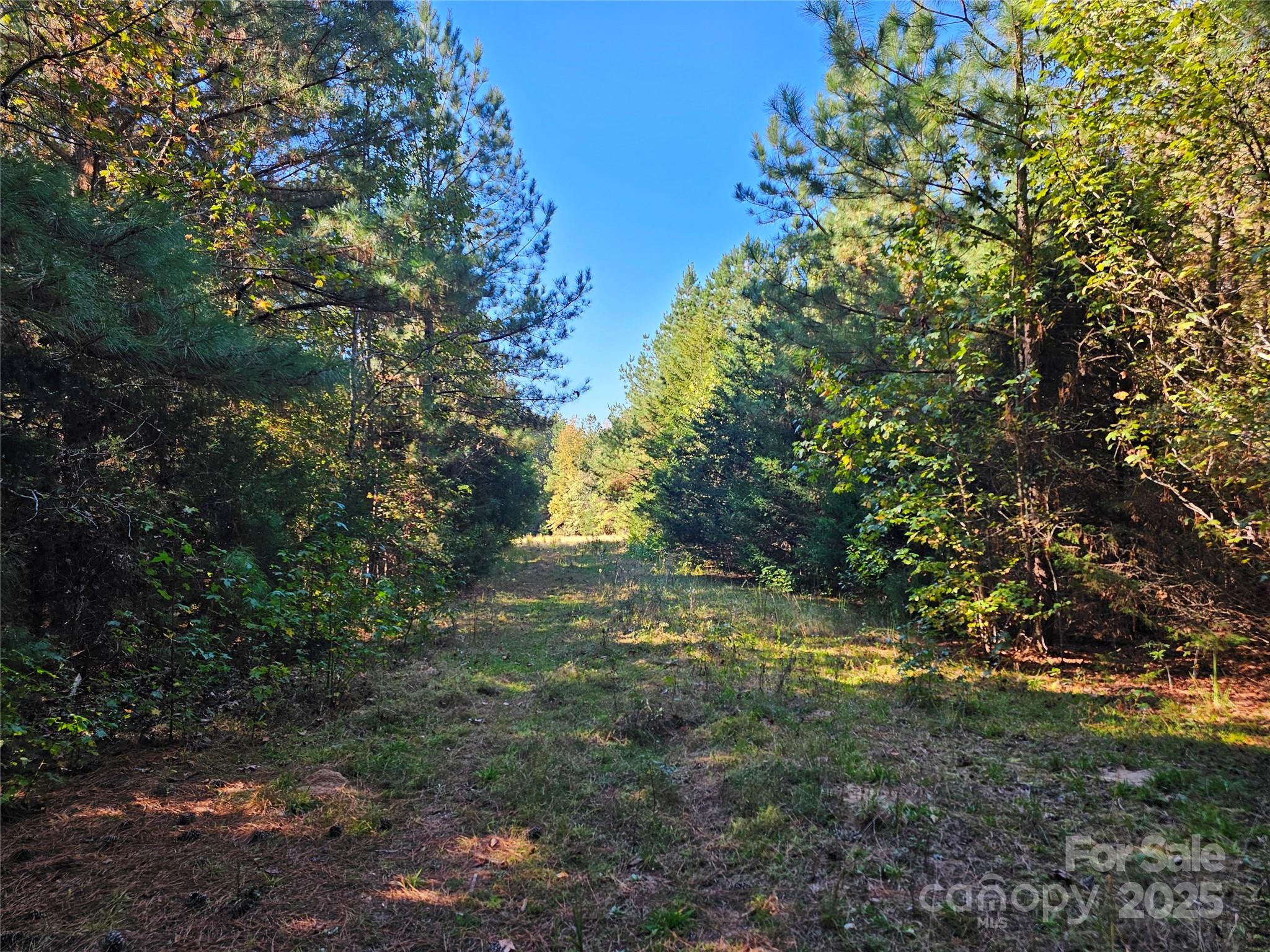 5311 Lancaster Highway Property Photo 4