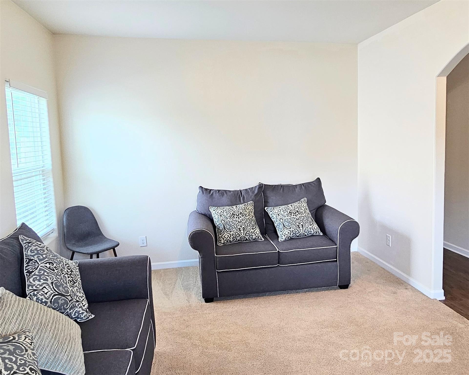 8620 Ballard Hills Court Property Photo 9