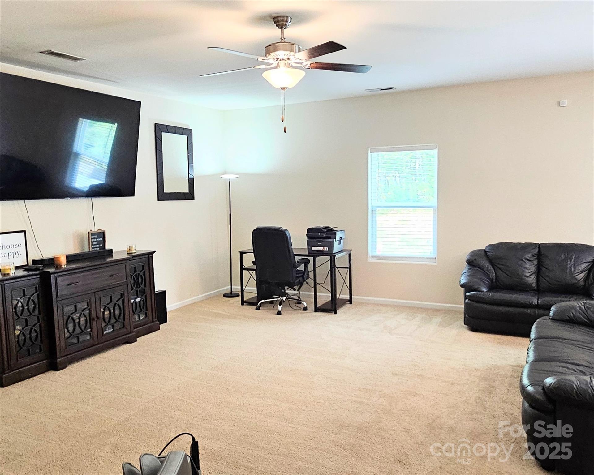 8620 Ballard Hills Court Property Photo 12