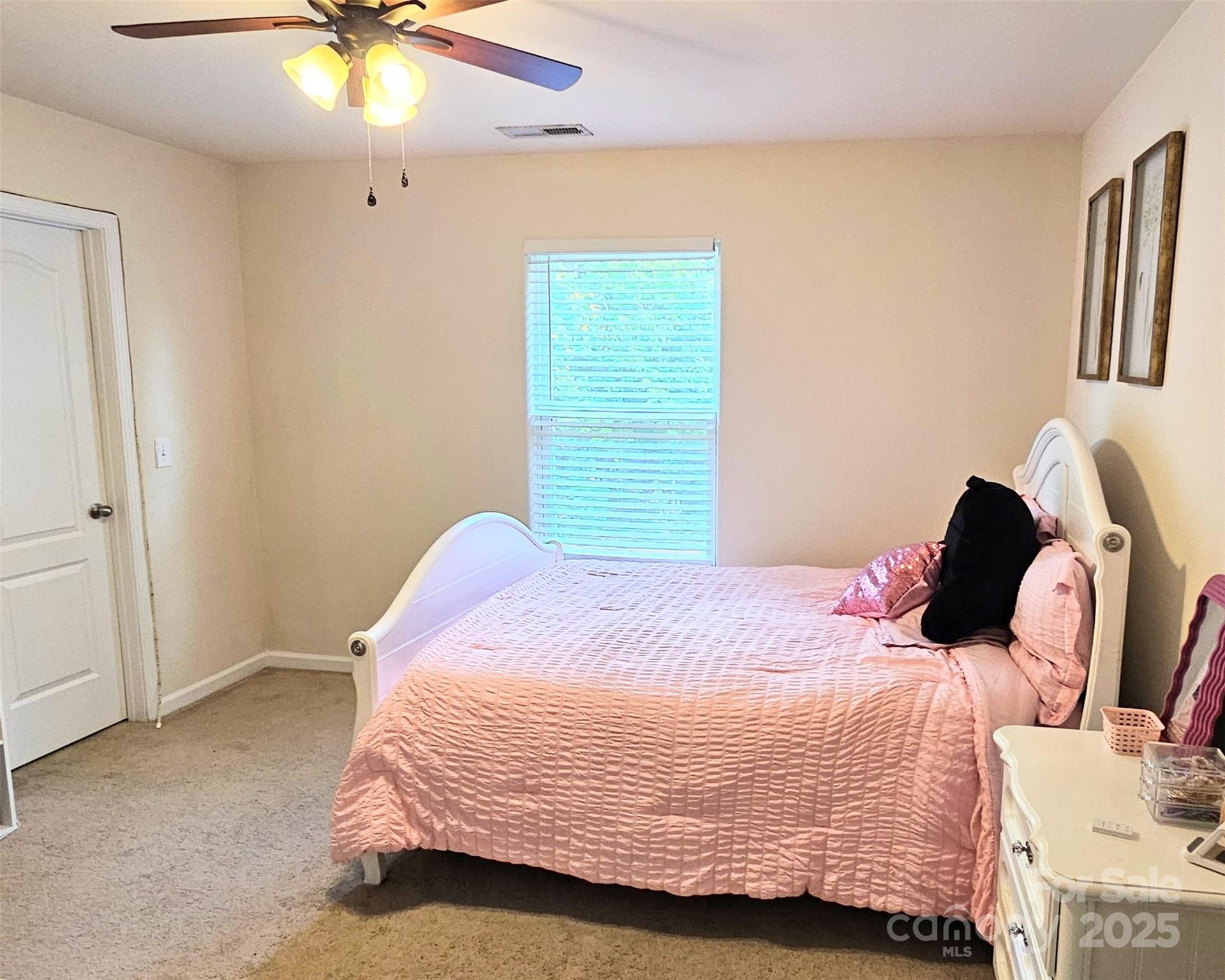 8620 Ballard Hills Court Property Photo 28