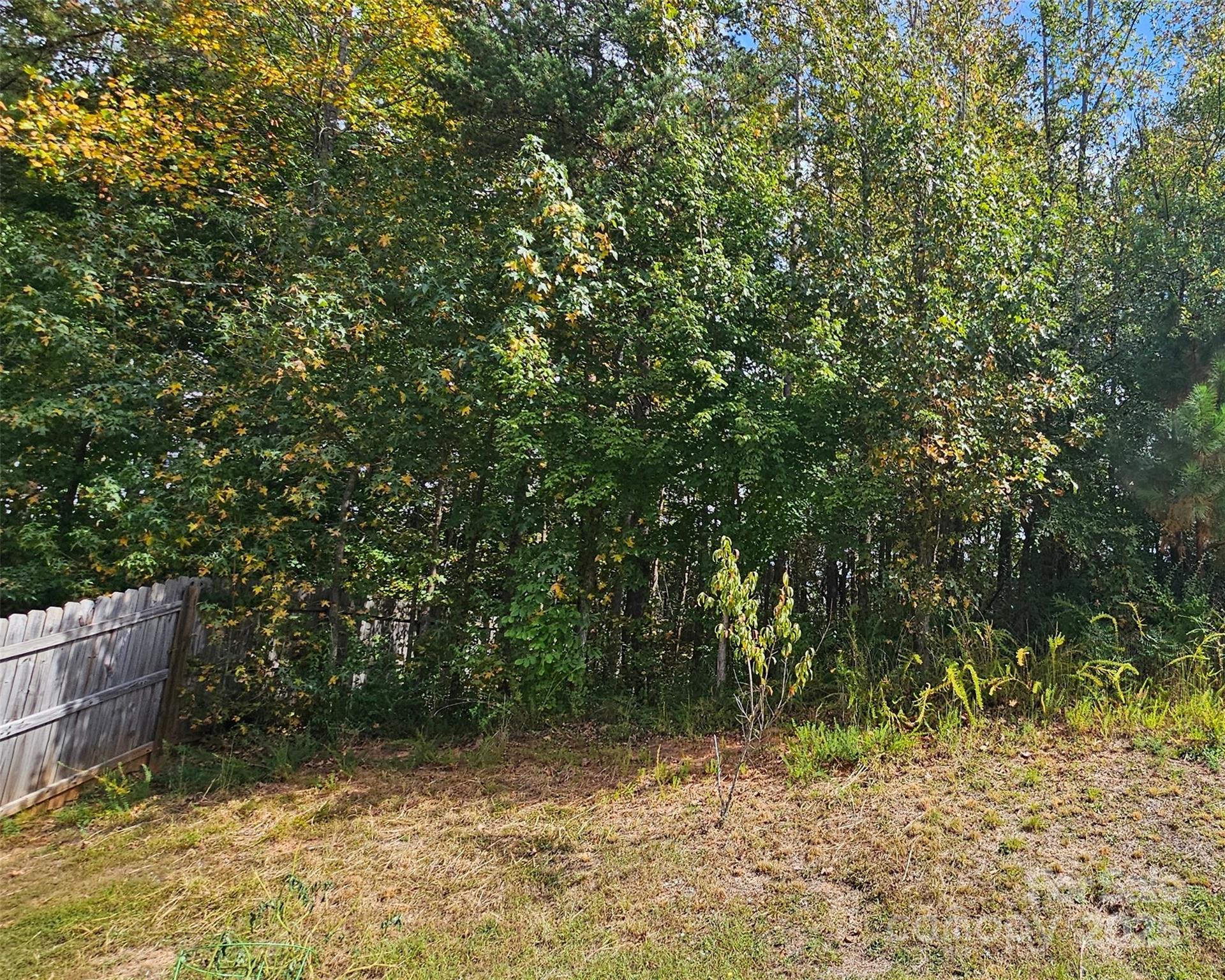 8620 Ballard Hills Court Property Photo 41