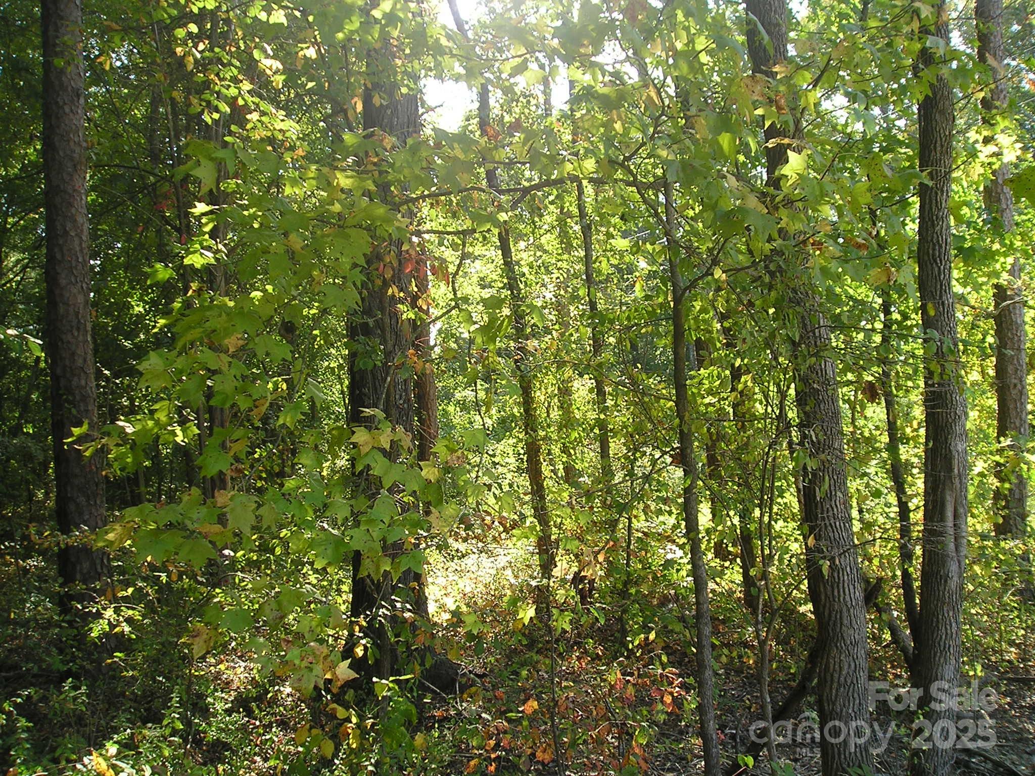 000 Woodhaven Lane 15/16 Property Photo 1