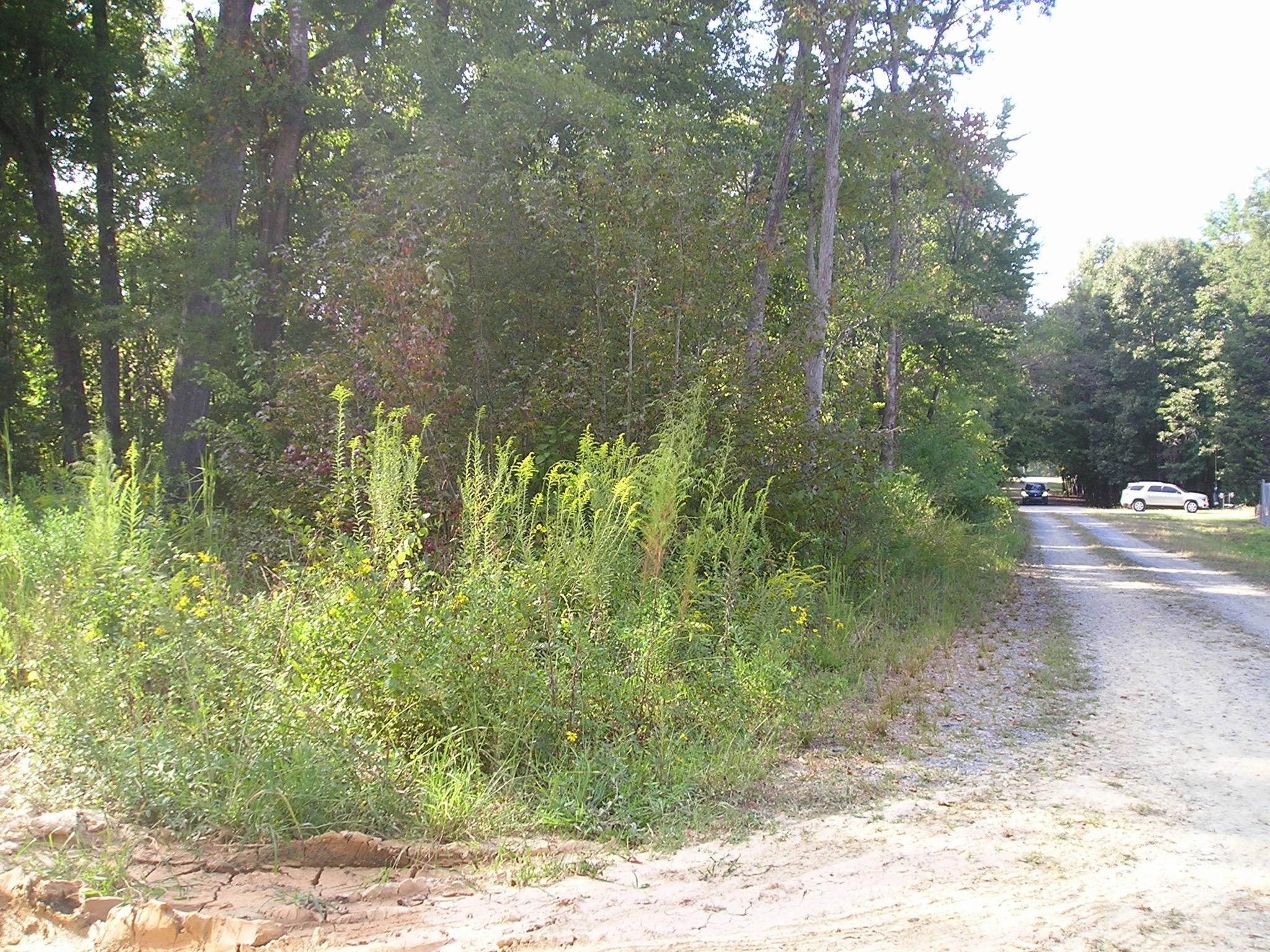 000 Woodhaven Lane 15/16 Property Photo 3