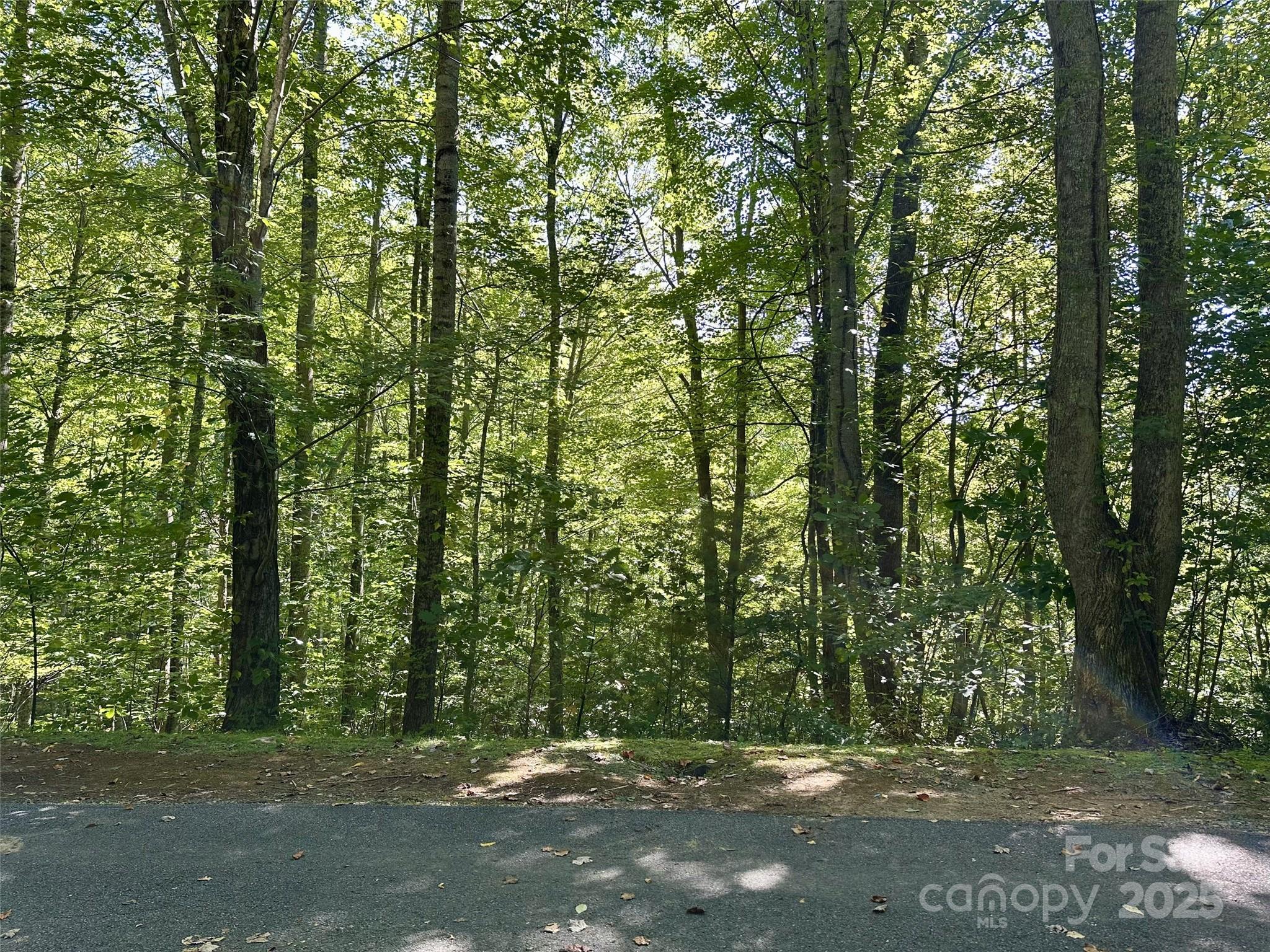 00 Loblolly Way C11 Property Photo 2