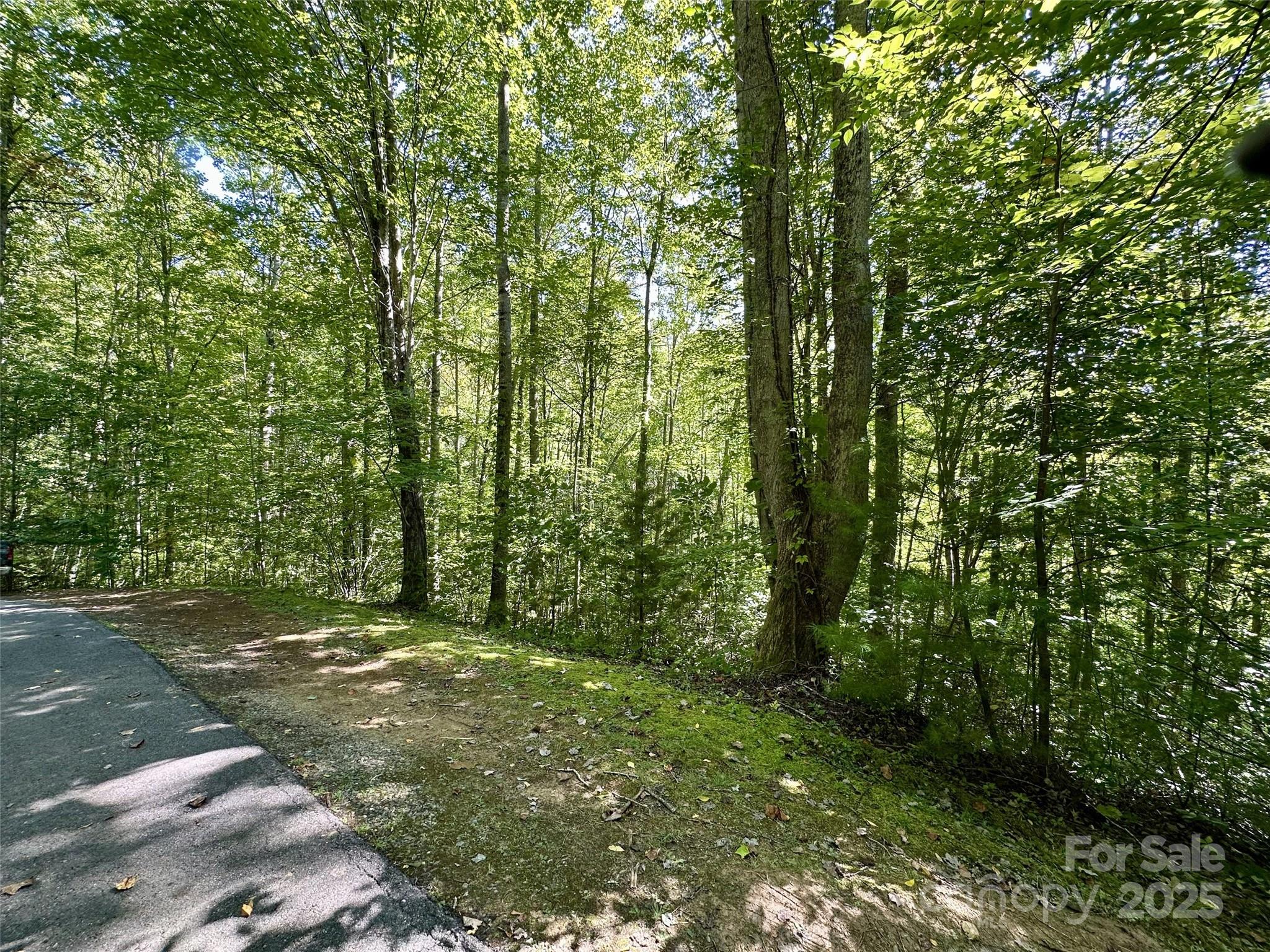 00 Loblolly Way C11 Property Photo 3