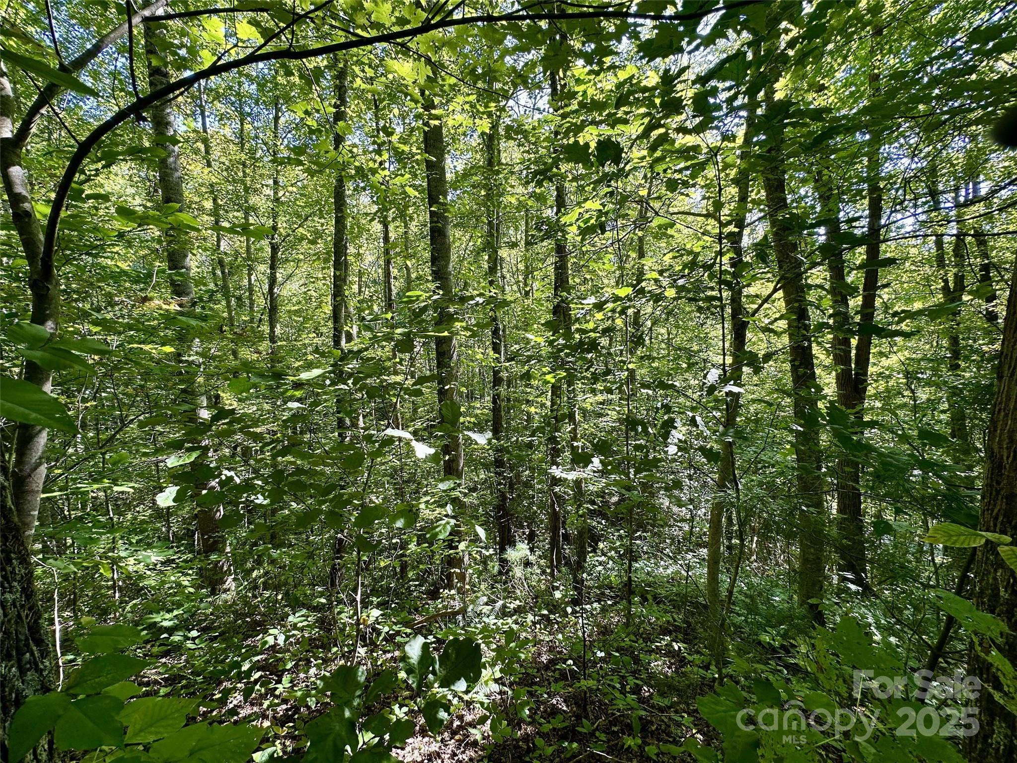 00 Loblolly Way C11 Property Photo 5