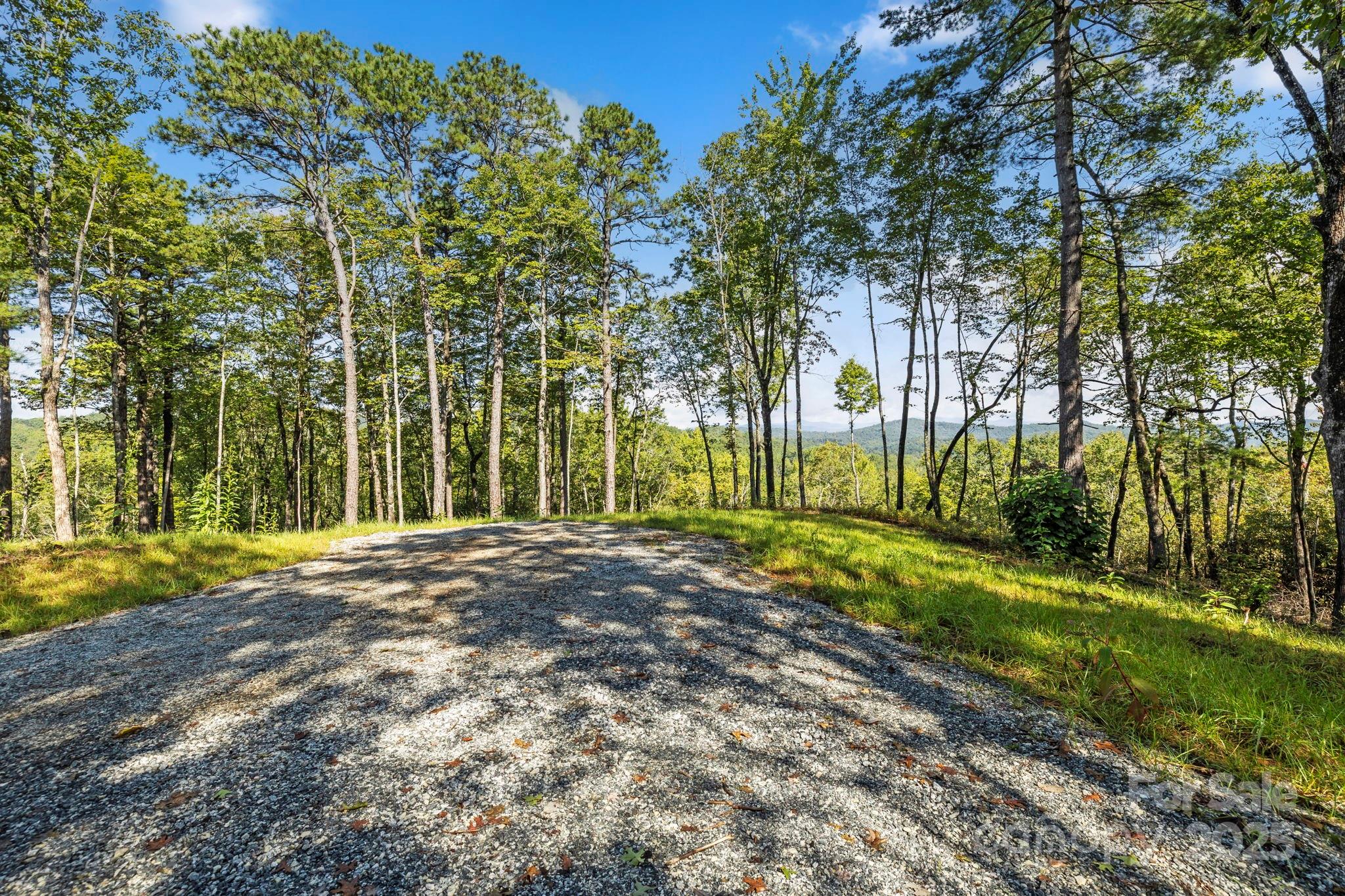 11763 Rosman Highway Property Photo 6