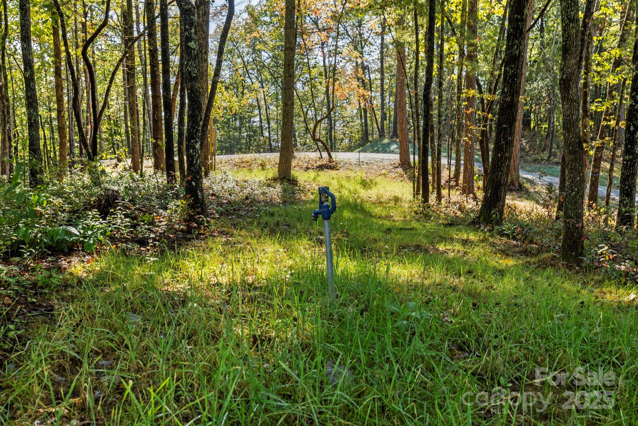 11763 Rosman Highway Property Photo 8
