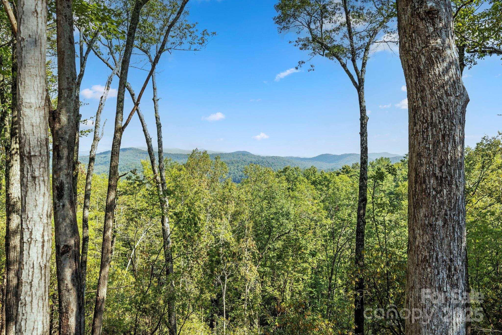 11763 Rosman Highway Property Photo 11