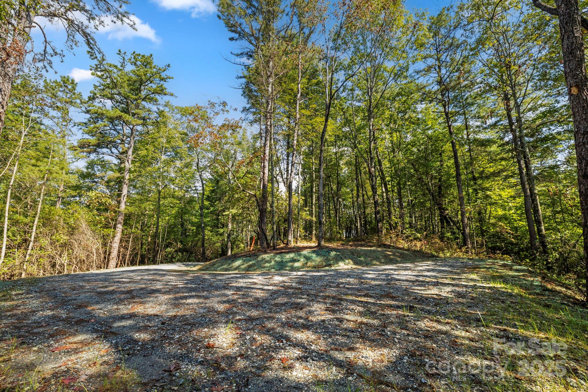 11763 Rosman Highway Property Photo 18