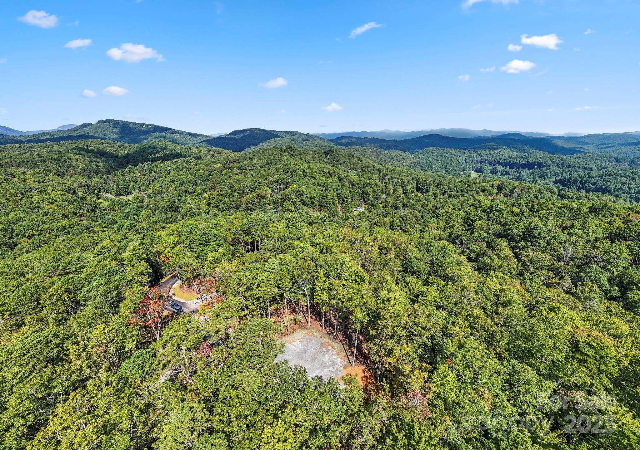 11763 Rosman Highway Property Photo 19