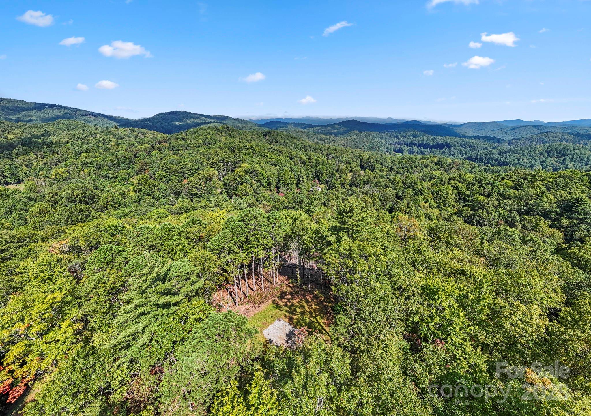 11763 Rosman Highway Property Photo 20