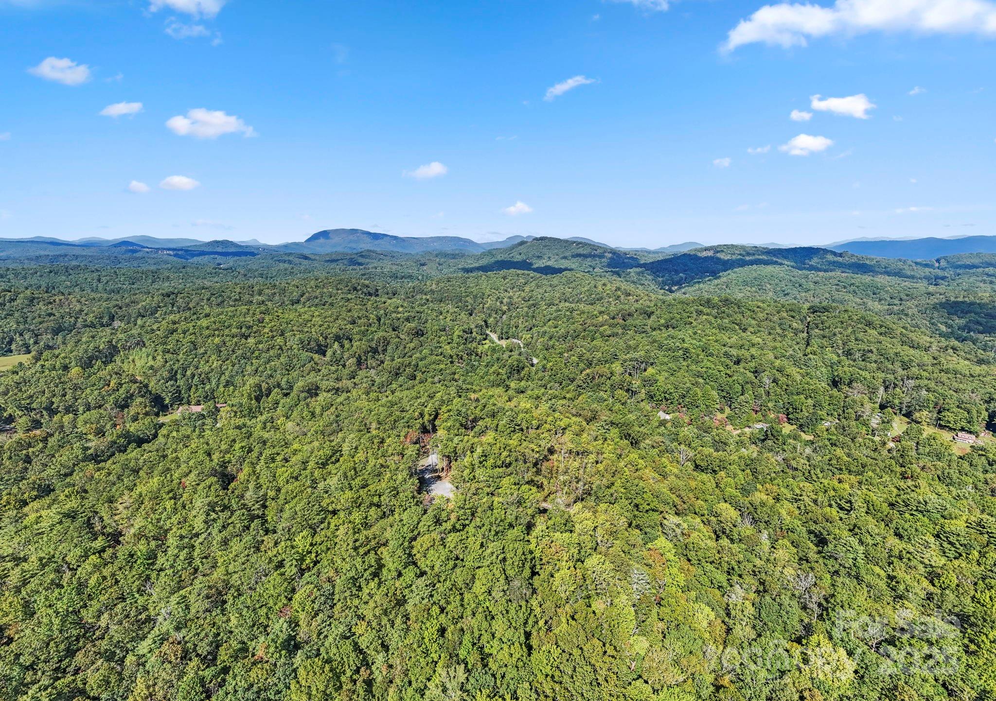 11763 Rosman Highway Property Photo 21