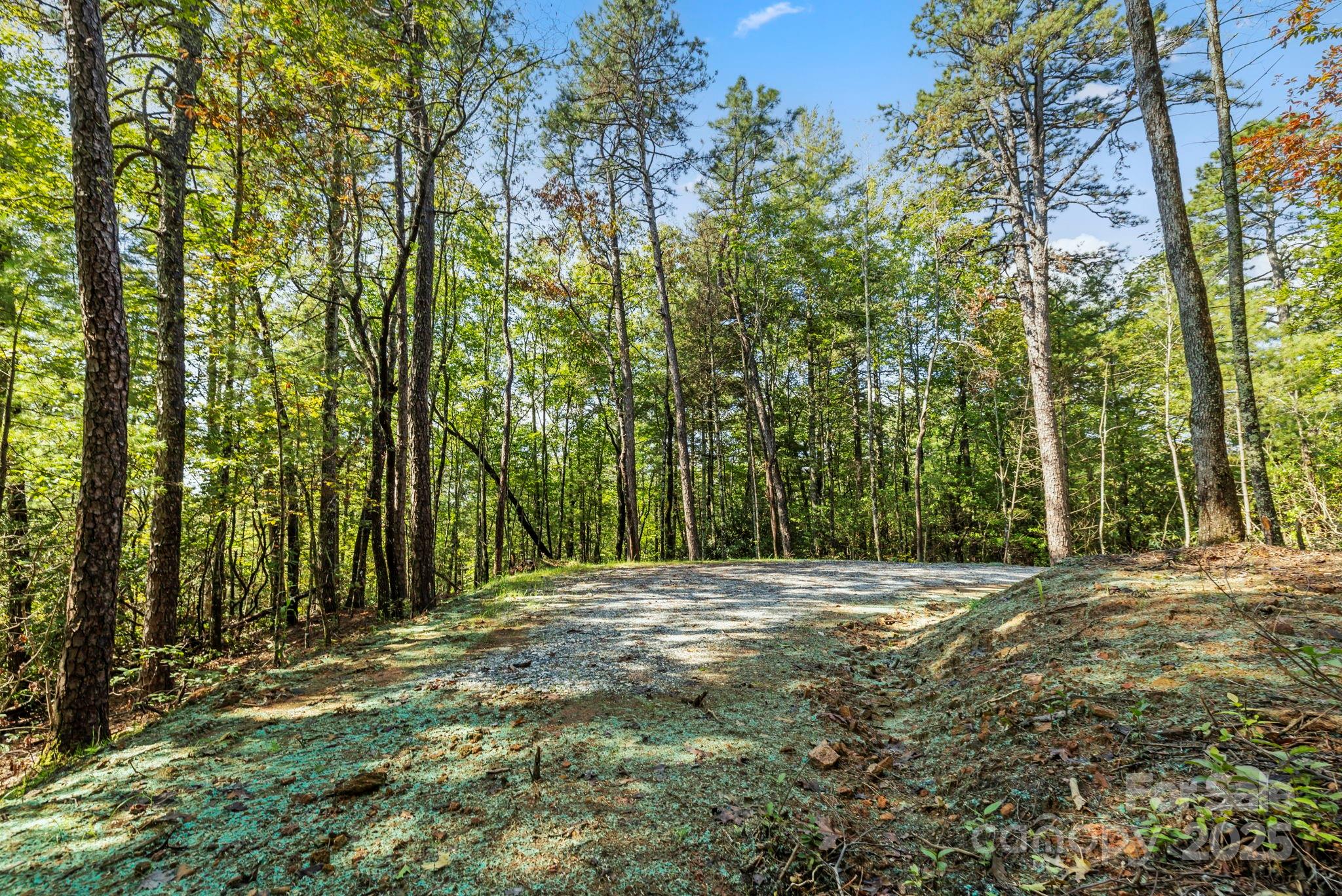 11763 Rosman Highway Property Photo 28