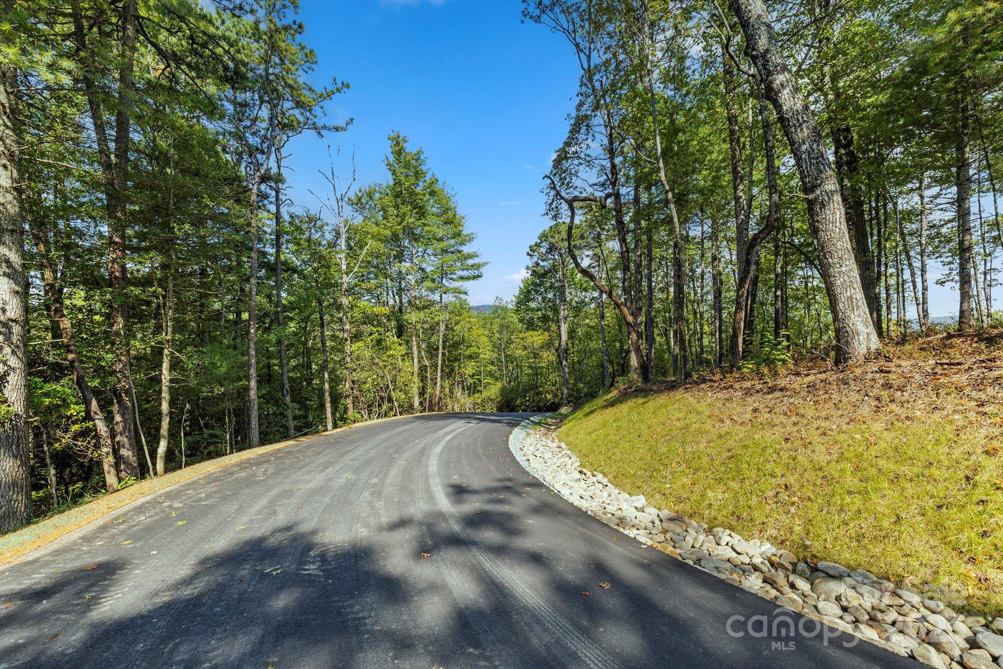 11763 Rosman Highway Property Photo 29