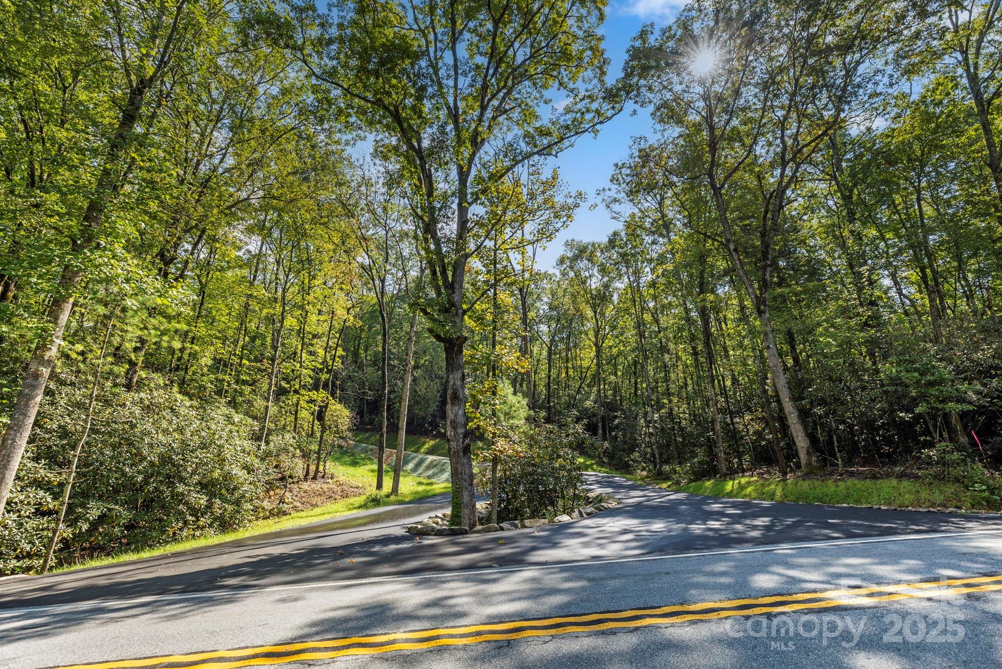 11763 Rosman Highway Property Photo 30