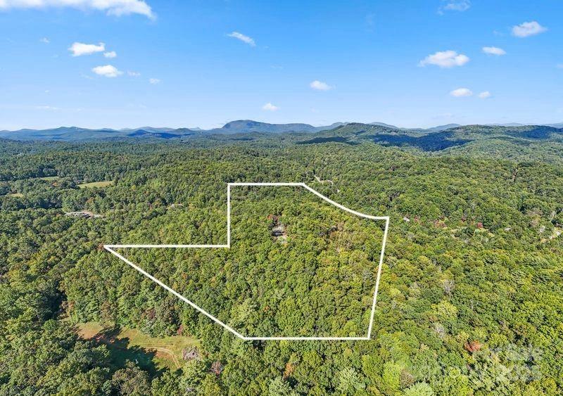 11763 Rosman Highway Property Photo 32
