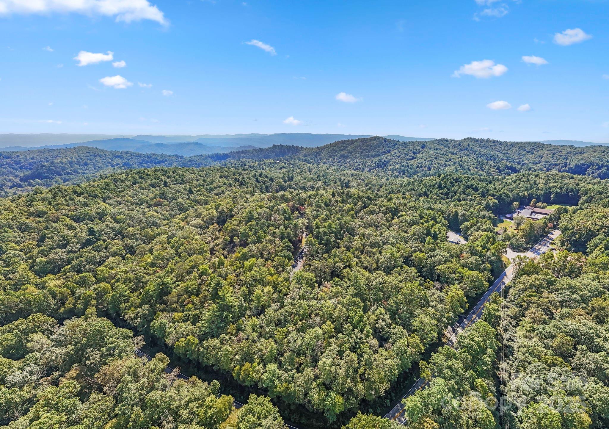 11763 Rosman Highway Property Photo 33