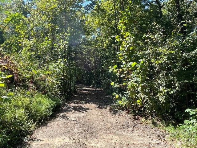 5756 Rumfelt Road Property Photo 3