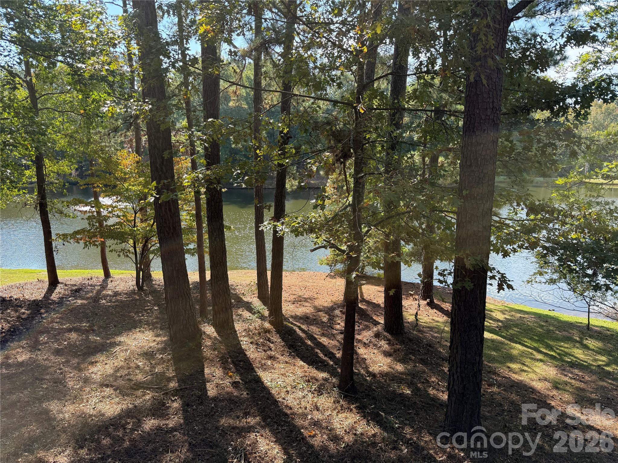 1437 Westmoreland Drive Property Photo 4