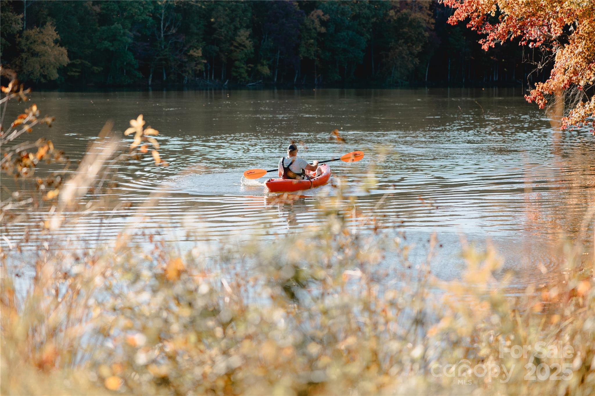 5321 Mint Harbor Way 310 Property Photo 15