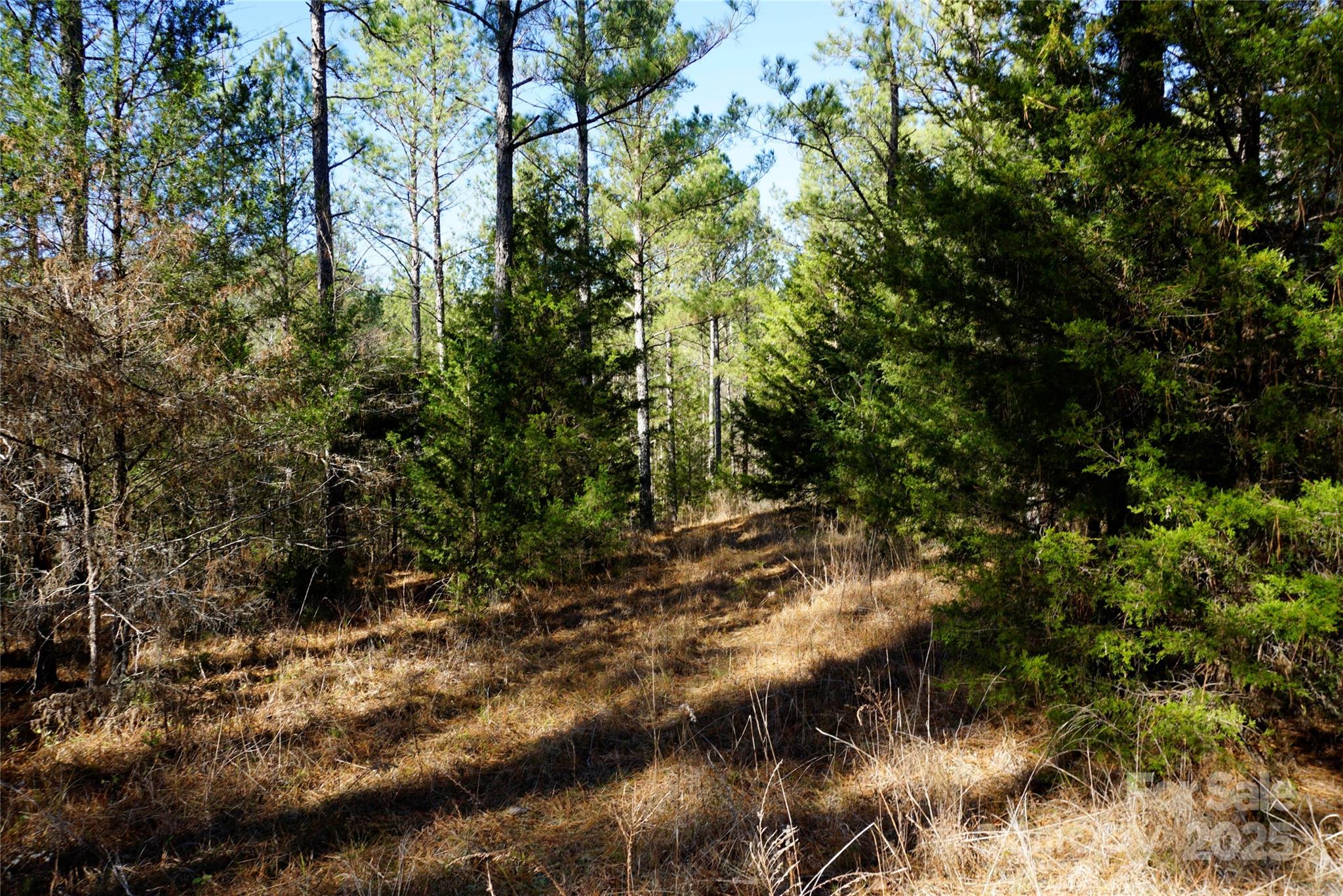 6+/- AC LOT 2 Skyline Drive Property Photo 1