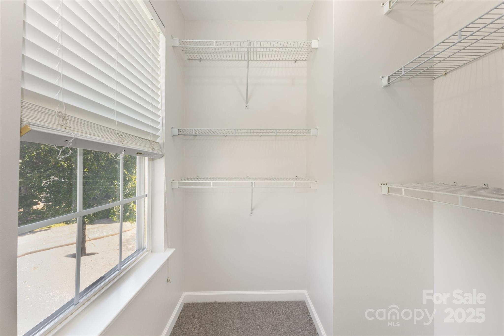 14101 Arbor Ridge Drive Property Photo 29