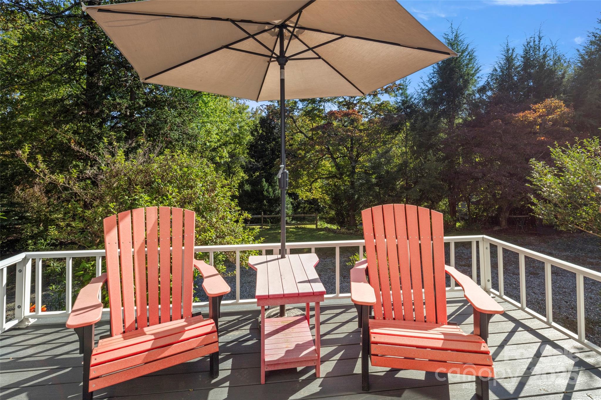 59 Coates Street Property Photo 33