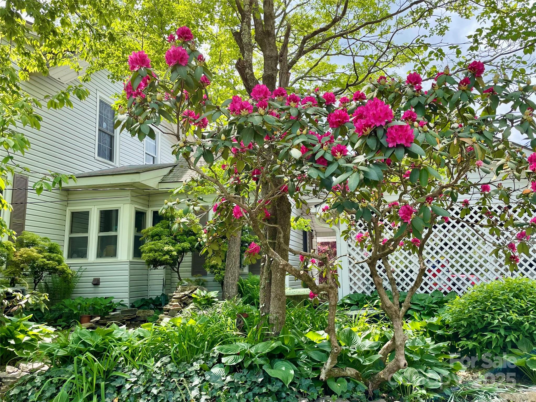 59 Coates Street Property Photo 35