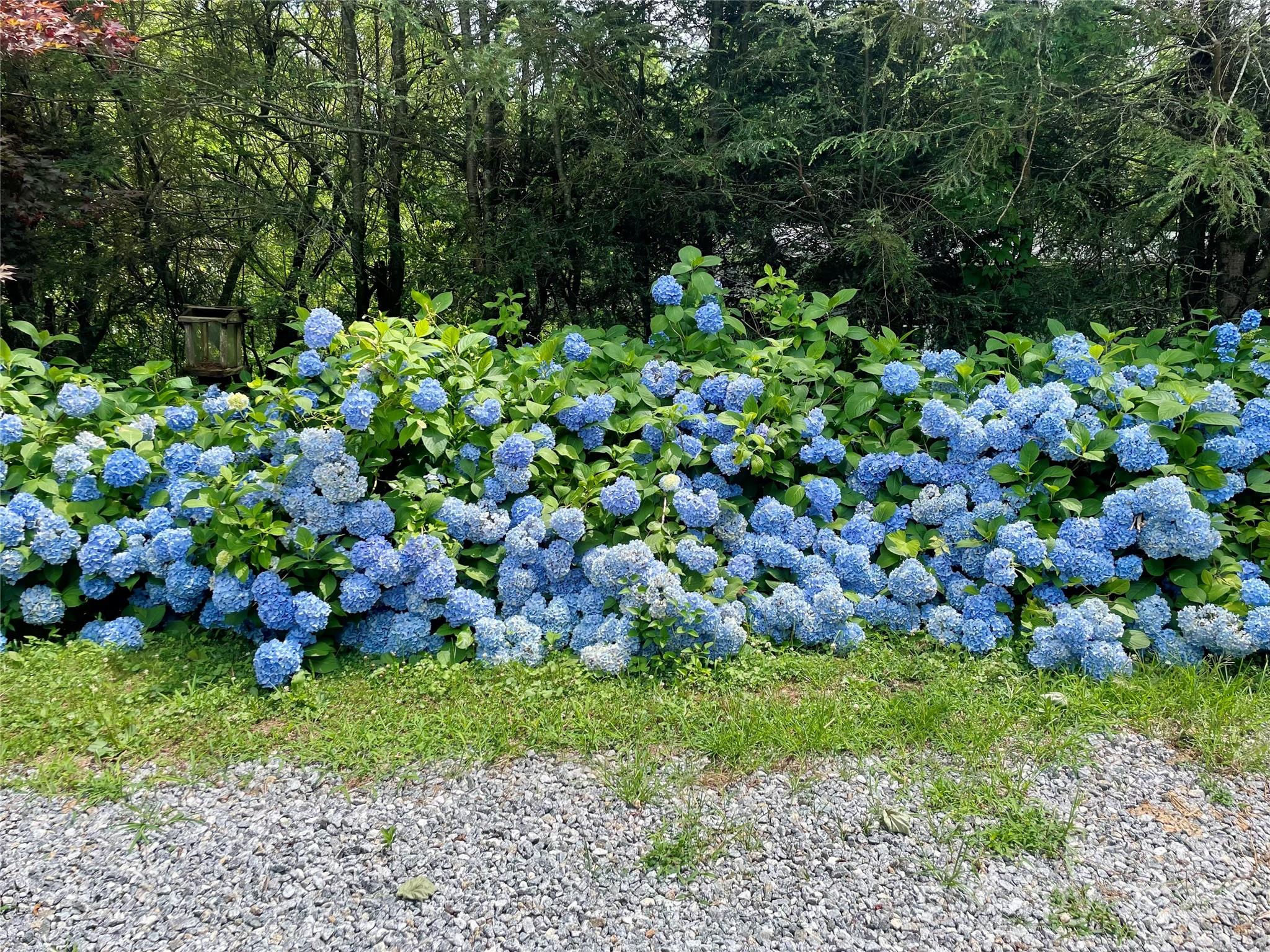 59 Coates Street Property Photo 36