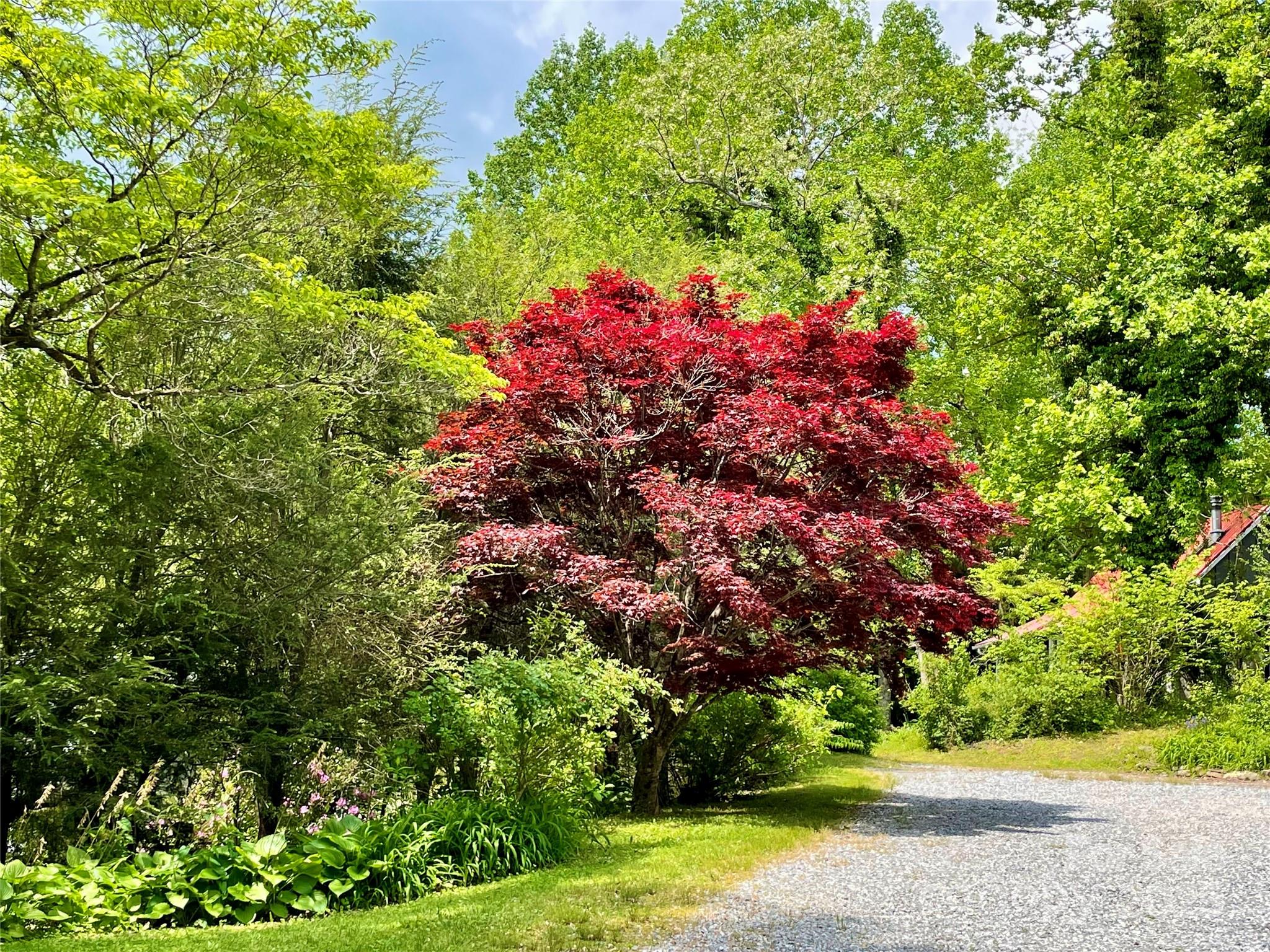 59 Coates Street Property Photo 39