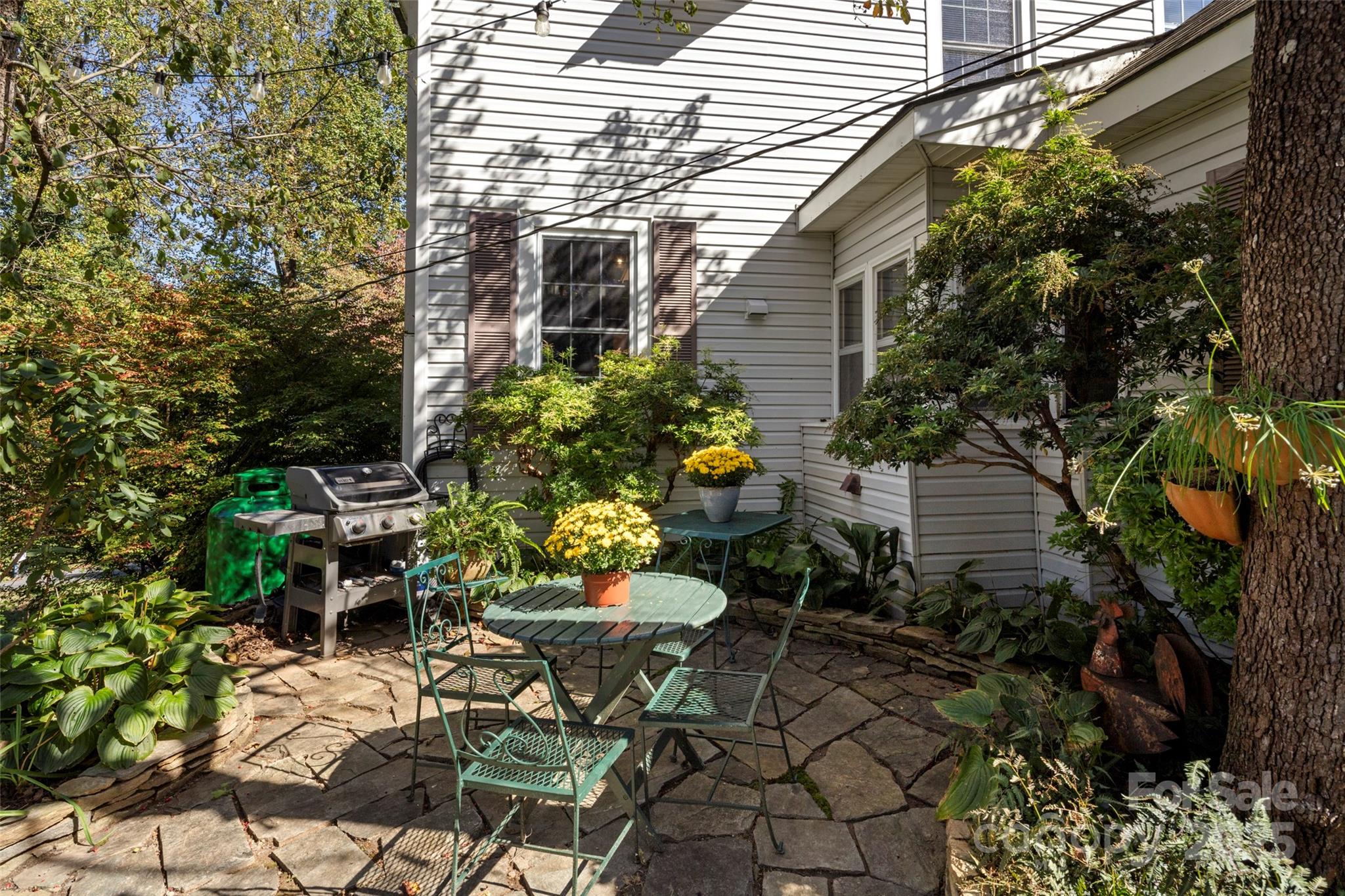 59 Coates Street Property Photo 41