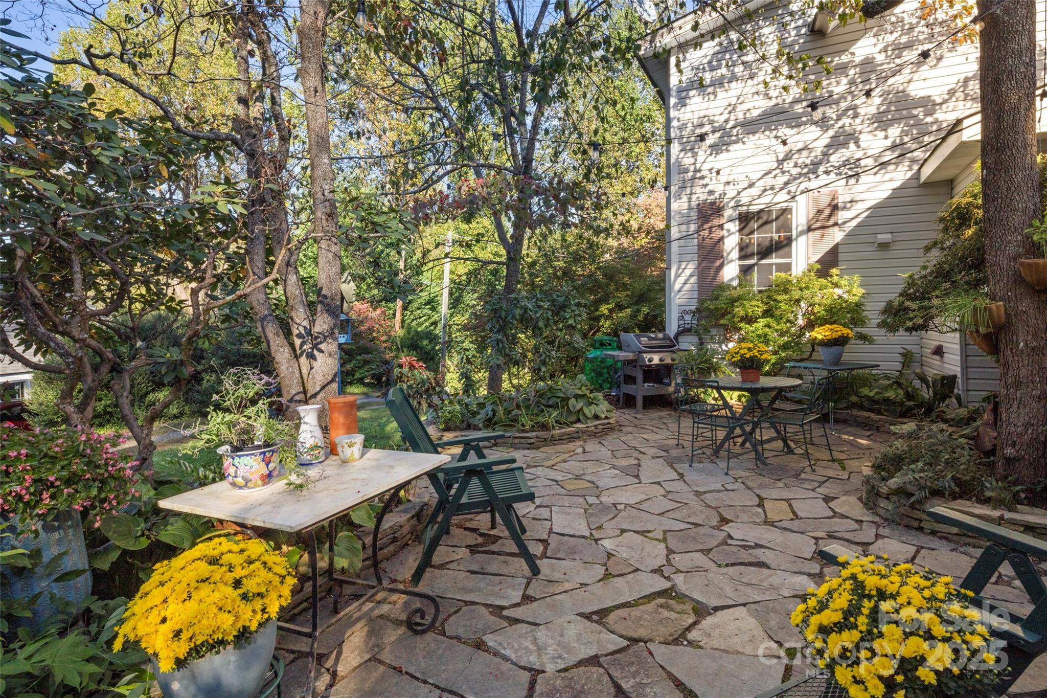 59 Coates Street Property Photo 43