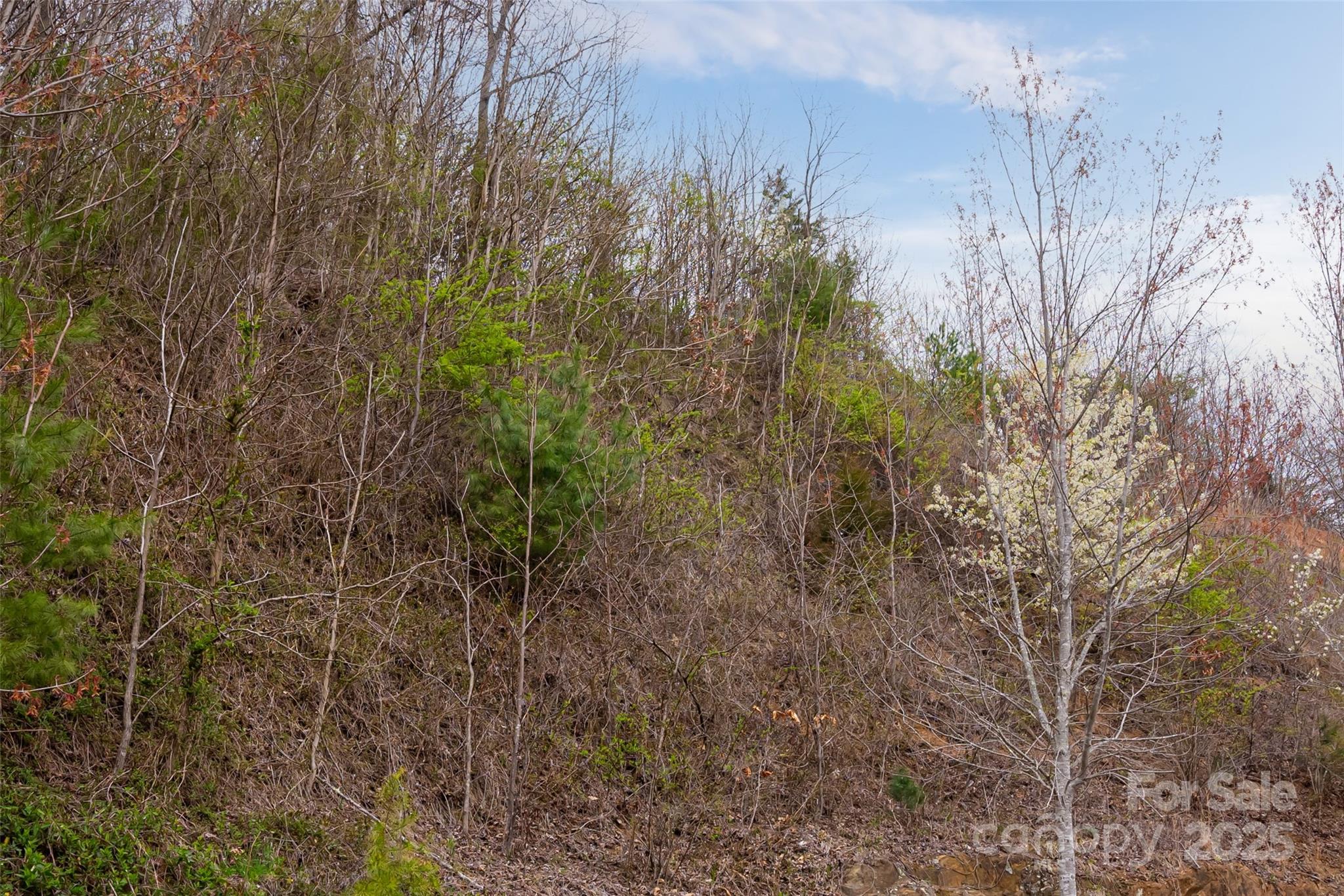 12 Grovepoint Way Property Photo 2